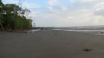 notícia: Universidade do Estado do Amapá participa de pesquisa nacional sobre microplásticos e identifica poluição em praia do estado