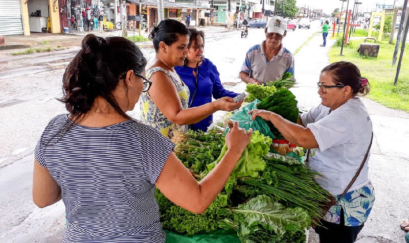 Agricultores querem oferecer frutas e verduras para os consumidores prepararem a Ceia de Natal e Ano Novo