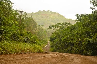 notícia: Imap vistoria áreas de manejo da Floresta Estadual do Amapá