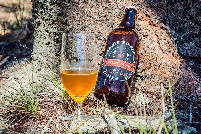 notícia: Pesquisadores do Iepa apresentam cerveja artesanal com acerola