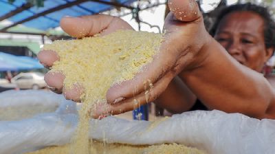 notícia: Em 2 anos, farinha de mandioca movimenta mais de R$ 24 milhões no AP
