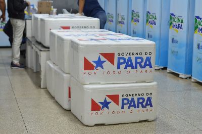 notícia: Amapá recebe 150 mil doses da vacina contra o sarampo doadas pelo governo paraense