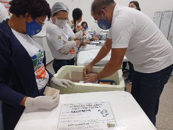 notícia: Governo do Amapá já disponibilizou mais de 14 mil doses de vacina contra a covid-19 aos municípios 