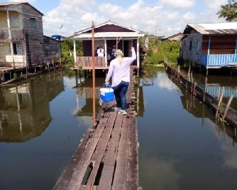 notícia: Varredura vacinal imunizou mais de 17 mil pessoas nos primeiros 4 dias