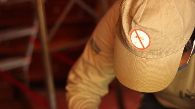 notícia: Amapá registra aumento de casos das doenças transmitidas pelo Aedes aegypti