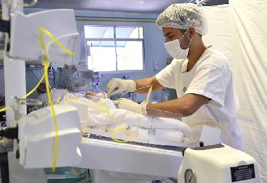 notícia: Novembro Roxo: Governo do Amapá monta programação sobre cuidados especiais com a prematuridade neonatal