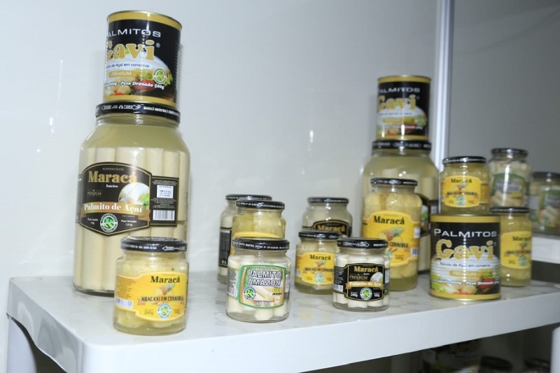 Crédito: José Baía