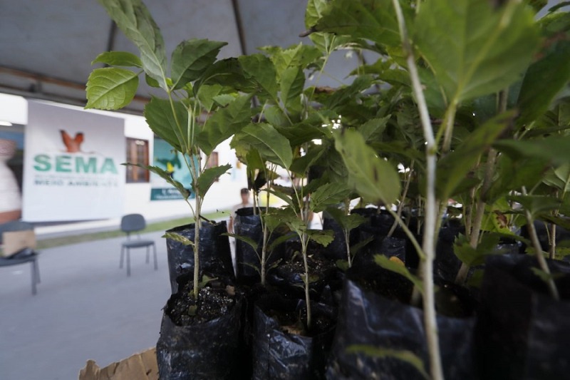 Ação educativa pretende conscientizar a sociedade quanto a proteção e preservação ambiental.