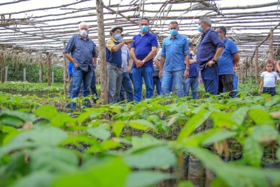 notícia: Amapá Cacau: Waldez Góes visita centro de produção de mudas de cacau em Porto Grande
