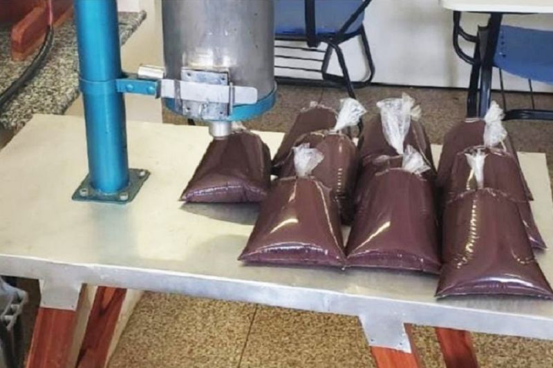 Uma máquina que tira a polpa de açaí utilizando a energia solar é a nova patenteada do Amapá na área de ciência, tecnologia e inovação. A empresa conseguiu o registro este ano, pelo Instituto Nacional da Propriedade Industrial (Inpi) que constatou a originalidade das ideias que possibilitaram a criação da despolpadeira fotovoltaica de açaí. <div class='credito_fotos'>Foto: Divulgação | <a href='/midias/2023/originais/15608_467f1be2-3ebe-a2e3-be60-9a553efc05b5.jpg' download><i class='fa-solid fa-download'></i> Download</a></div>