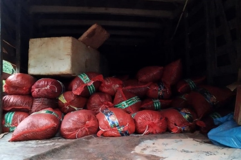 Indígenas solicitaram o apoio no transporte da safra até junho