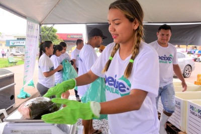 notícia: Peixe Popular movimentou R$ 1,2 milhão durante a Semana Santa