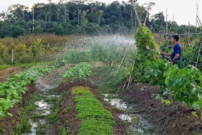 notícia: Governo do Amapá intensifica regularização fundiária com ações em Ferreira Gomes e Laranjal do Jari