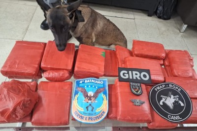 notícia: Bope intercepta veículo com cerca de 30 quilos de entorpecentes em mais uma ação de combate às drogas do Governo do Estado 