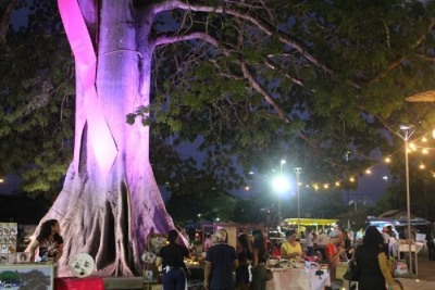 notícia: Governo do Estado, Ministério Público e Sebrae promovem 'Luau na Samaúma-Amapá 80 Anos'