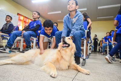 notícia: Saiba como cadastrar seu pet no Censo Animal do Governo do Amapá
