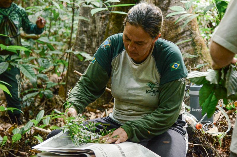 Coordenadora da equipe de pesquisadores, Rafaela Forzza