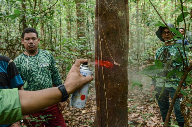 Local está sendo documentado por pesquisadores
