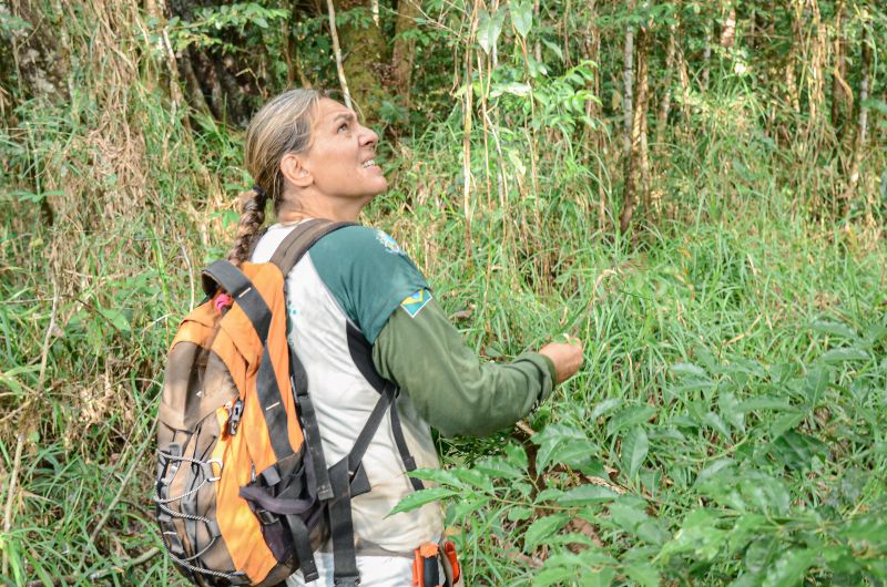 Coordenadora da equipe de botânicos, Rafaela Forzza