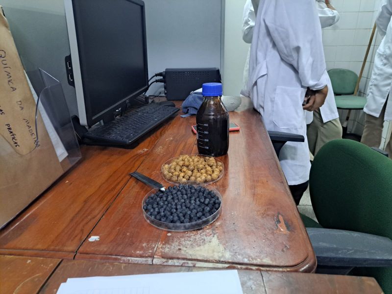 Carvão ativado de açaí é o grande diferencial do projeto