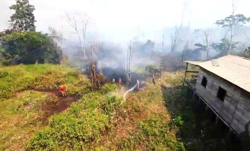 Fogo se espalha por baixo das vegetações e demanda maior ação do CBM-AP