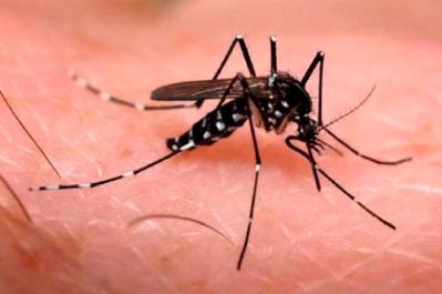 notícia: Após articulação do governador Clécio Luís, Amapá receberá 20 mil doses de vacina contra a dengue