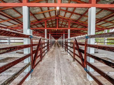 notícia: Governo do Estado garante mais de 250 espaços para exposição de animais durante a 53ª Expofeira do Amapá