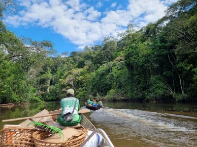 notícia: COP29: Governo do Amapá levará bons exemplos de políticas de desenvolvimento econômico com respeito a floresta e ao clima