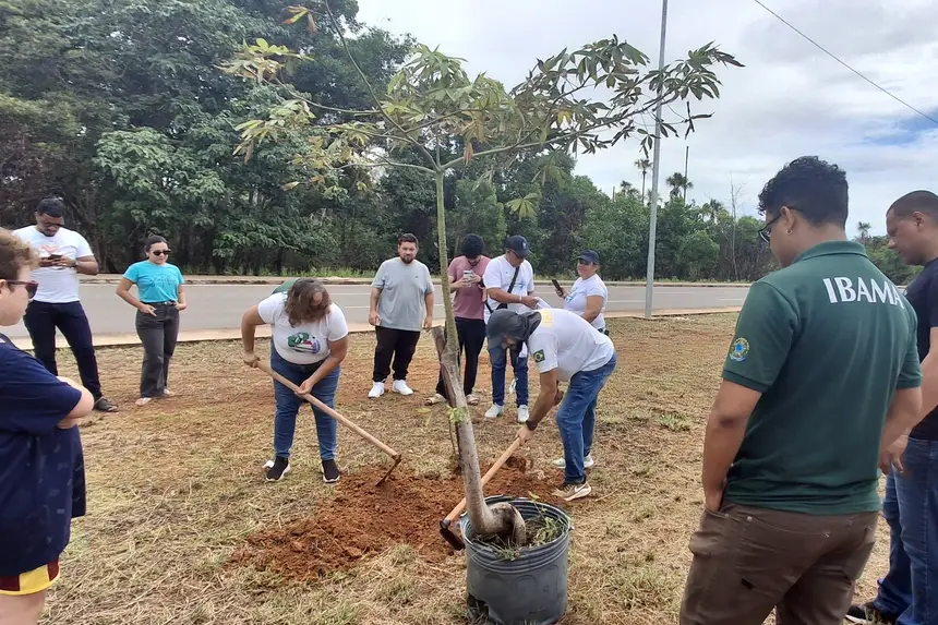 Crédito: Jamylle Nogueira/GEA