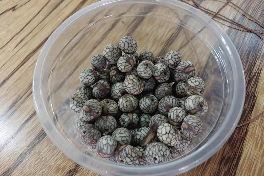 O caroço do açaí passa por um processo de preparo para a produção de biojoias