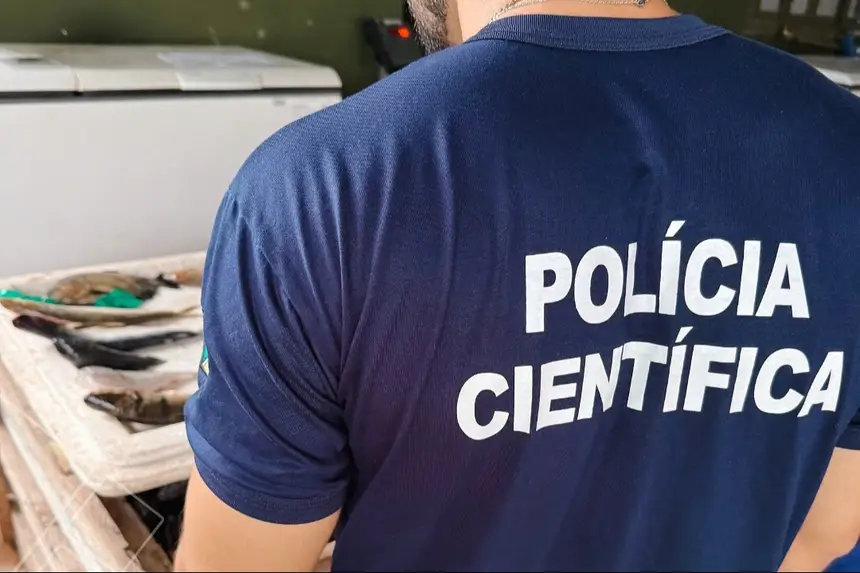 Crédito: Divulgação/Polícia Militar