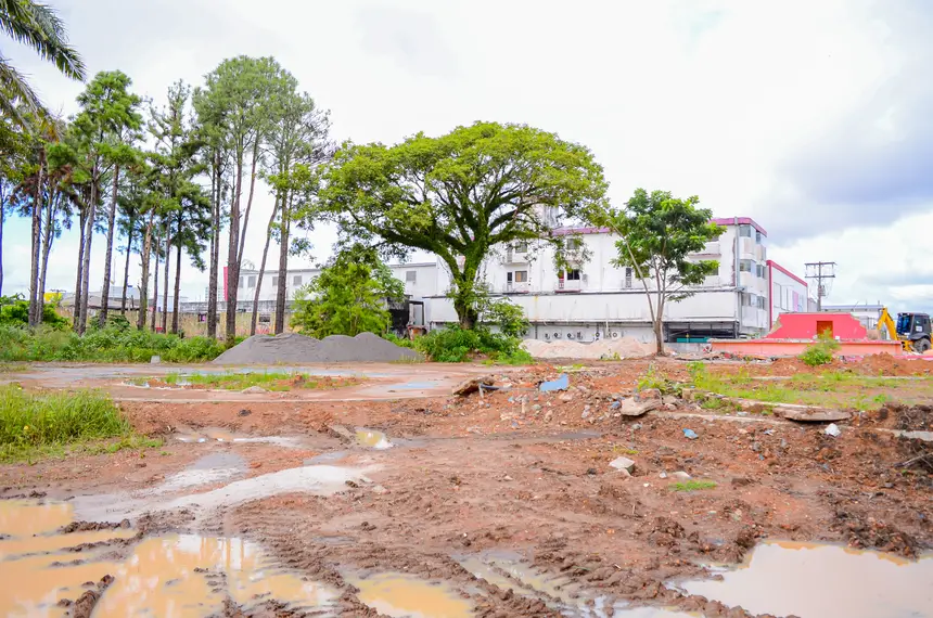  <div class='credito_fotos'>Foto: Maksuel Martins/GEA   |   <a href='/midias/2025/originais/20250415144942-GF00016007-F00188838.webp' download><i class='fa-solid fa-download'></i> Download</a></div>