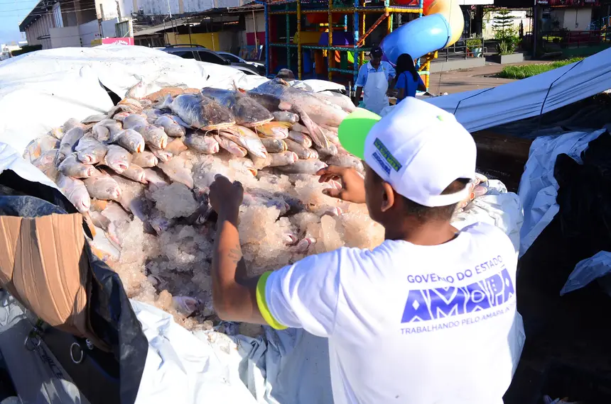  <div class='credito_fotos'>Foto: Maksuel Martins/GEA   |   <a href='/midias/2025/originais/20250416140643-GF00016011-F00188937.webp' download><i class='fa-solid fa-download'></i> Download</a></div>