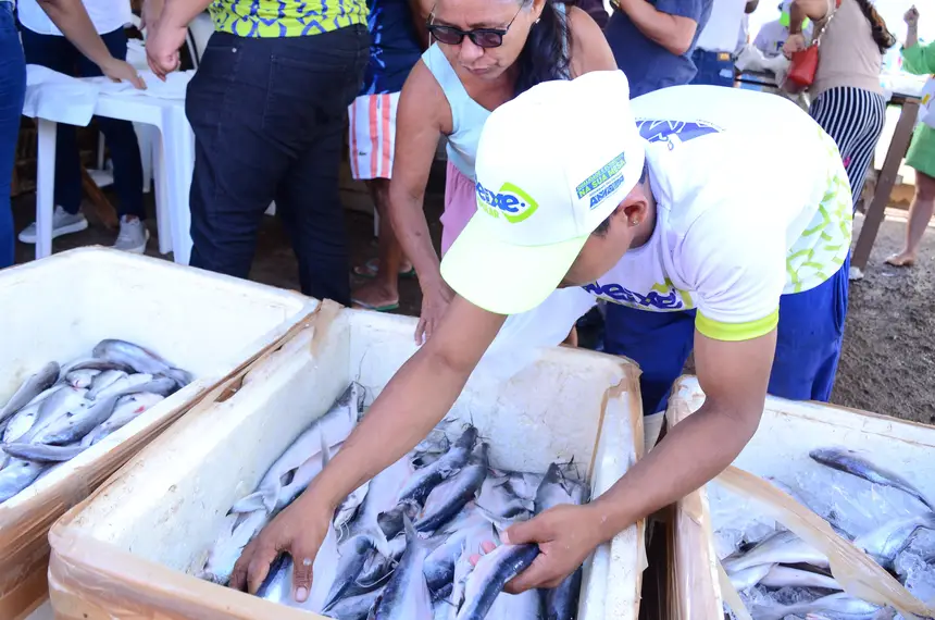  <div class='credito_fotos'>Foto: Maksuel Martins/GEA   |   <a href='/midias/2025/originais/20250416140701-GF00016011-F00188942.webp' download><i class='fa-solid fa-download'></i> Download</a></div>
