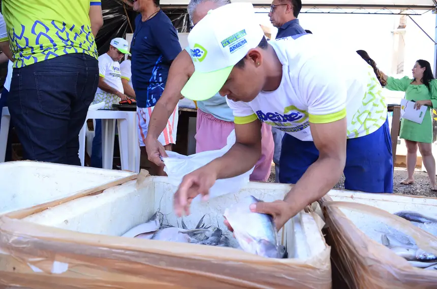  <div class='credito_fotos'>Foto: Maksuel Martins/GEA   |   <a href='/midias/2025/originais/20250416140703-GF00016011-F00188943.webp' download><i class='fa-solid fa-download'></i> Download</a></div>