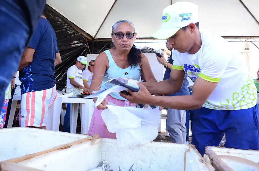  <div class='credito_fotos'>Foto: Maksuel Martins/GEA   |   <a href='/midias/2025/originais/20250416140706-GF00016011-F00188944.webp' download><i class='fa-solid fa-download'></i> Download</a></div>