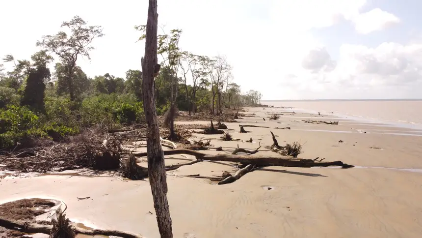 Rebio, santuário do bioma amazônico