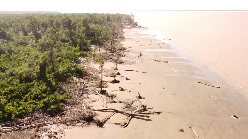 Rebio é a única unidade de proteção integral sob gestão estadual na Foz do Rio Amazonas