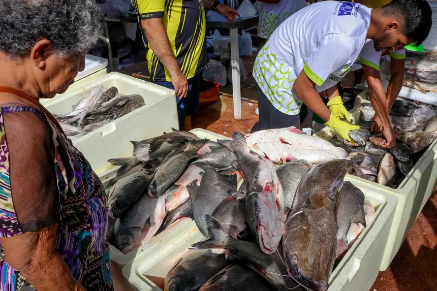 Do total de 163 toneladas, 99,8 foram de pescado resfriado e 63,6 de peixe vivo