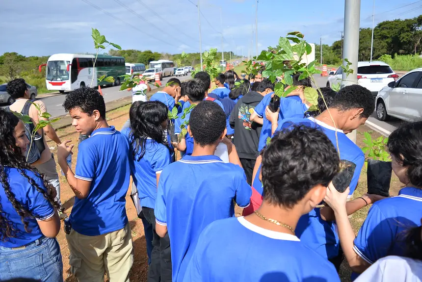  <div class='credito_fotos'>Foto: Maksuel Martins/GEA   |   <a href='/midias/2025/originais/20250605132227-GF00016139-F00192154.webp' download><i class='fa-solid fa-download'></i> Download</a></div>