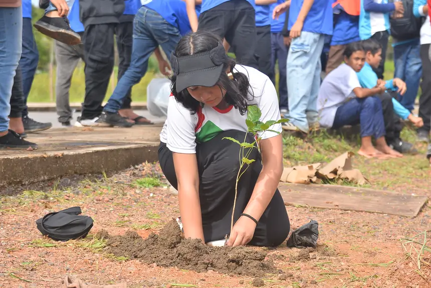  <div class='credito_fotos'>Foto: Maksuel Martins/GEA   |   <a href='/midias/2025/originais/20250605132326-GF00016139-F00192171.webp' download><i class='fa-solid fa-download'></i> Download</a></div>