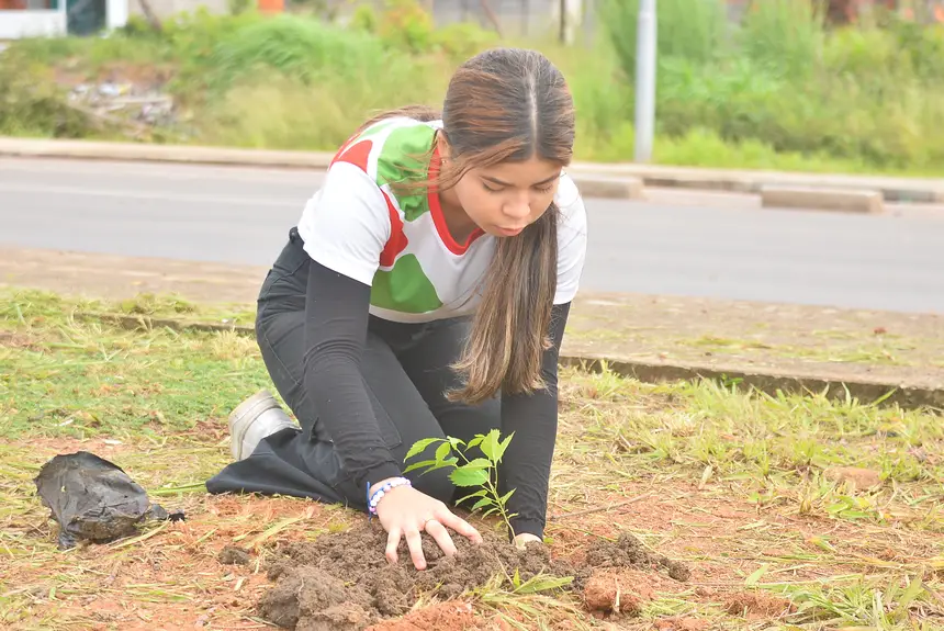  <div class='credito_fotos'>Foto: Maksuel Martins/GEA   |   <a href='/midias/2025/originais/20250605132409-GF00016139-F00192184.webp' download><i class='fa-solid fa-download'></i> Download</a></div>