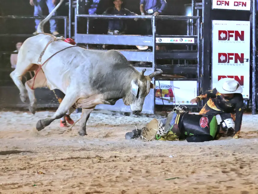  <div class='credito_fotos'>Foto: Jorge Júnior/GEA   |   <a href='/midias/2025/originais/20250902001802-GF00016468-F00203449.webp' download><i class='fa-solid fa-download'></i> Download</a></div>