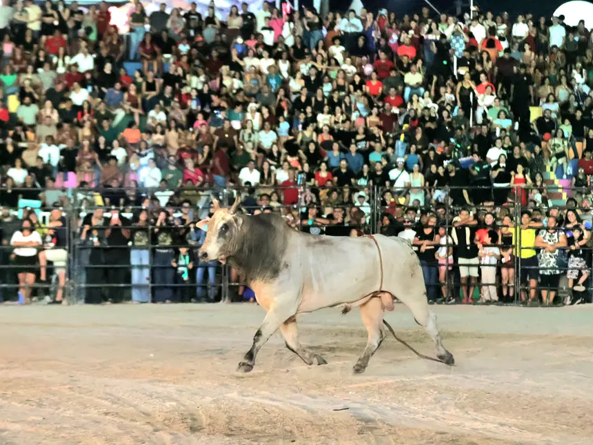  <div class='credito_fotos'>Foto: Jorge Júnior/GEA   |   <a href='/midias/2025/originais/20250902001803-GF00016468-F00203450.webp' download><i class='fa-solid fa-download'></i> Download</a></div>
