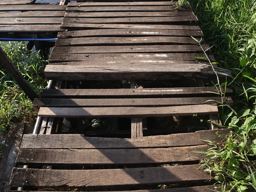  <div class='credito_fotos'>Foto: Jorge Júnior/GEA   |   <a href='/midias/2025/originais/20251016075007-GF00016607-F00207670.webp' download><i class='fa-solid fa-download'></i> Download</a></div>