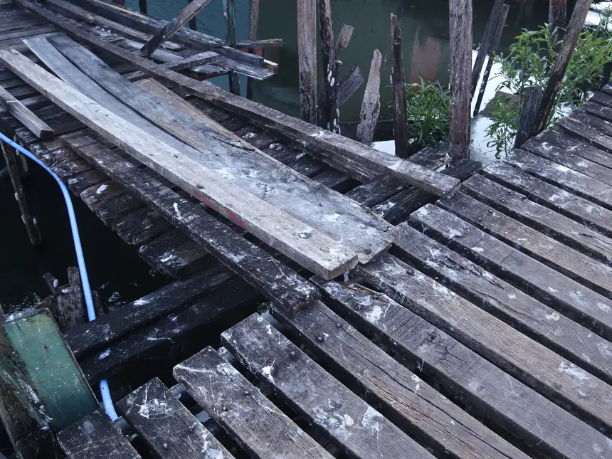  <div class='credito_fotos'>Foto: Jorge Júnior/GEA   |   <a href='/midias/2025/originais/20251016075008-GF00016607-F00207671.webp' download><i class='fa-solid fa-download'></i> Download</a></div>