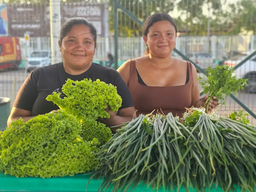 Agricultoras familiar da comunidade Raimundo Osmar, da rodovia AP 70