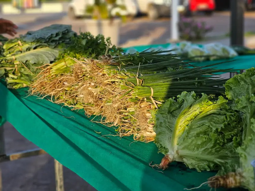 Foi um momento dos agricultores locais exibir e vender os seus produtos 