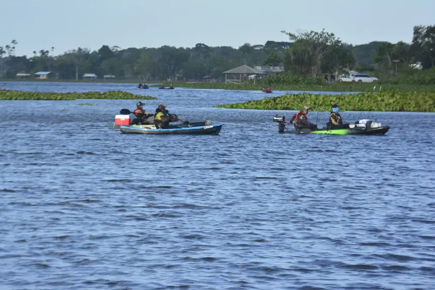  <div class='credito_fotos'>Foto: Maksuel Martins/GEA   |   <a href='/midias/2025/originais/20251020085825-GF00016610-F00207730.webp' download><i class='fa-solid fa-download'></i> Download</a></div>