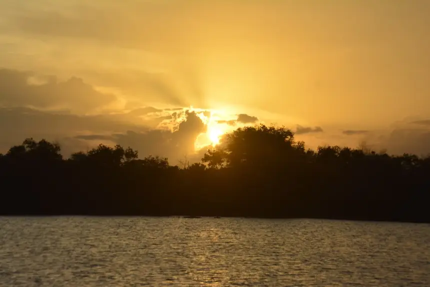  <div class='credito_fotos'>Foto: Maksuel Martins/GEA   |   <a href='/midias/2025/originais/20251020085826-GF00016610-F00207731.webp' download><i class='fa-solid fa-download'></i> Download</a></div>